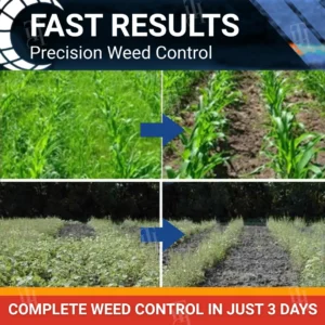 RZXEA™ Halauxifen-methyl Cereals Herbicide (𝟟𝟘% 𝕆𝔽𝔽 𝗘𝗡𝗗𝗦 𝗜𝗡 𝟭𝟬 𝗠𝗜𝗡𝗨𝗧𝗘𝗦)